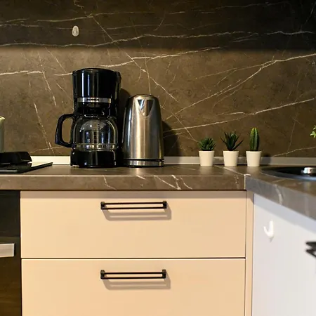 Brand-new In Floreasca Business Area - Elevate Your Living Experience Apartment